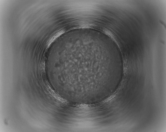 X0000102810827200808181221