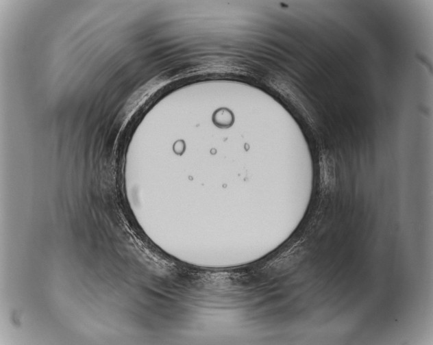 X0000102810828200808181221