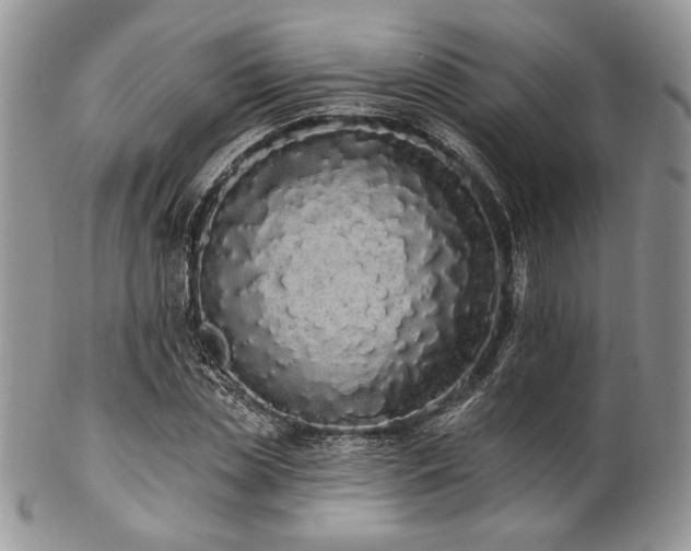 X0000102810829200808181221