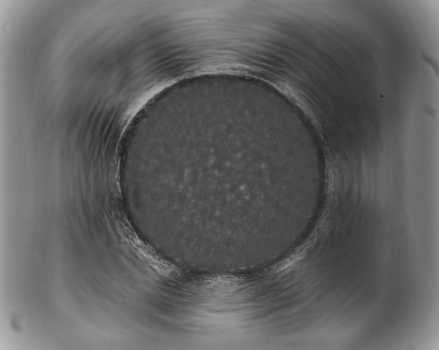 X0000102810830200808181221