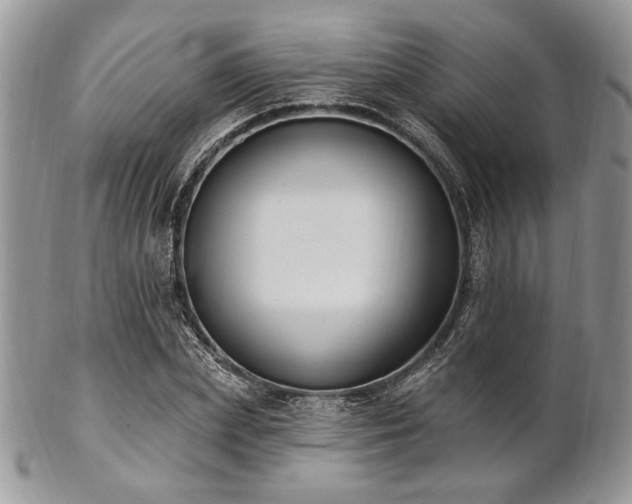 X0000102810831200808181221