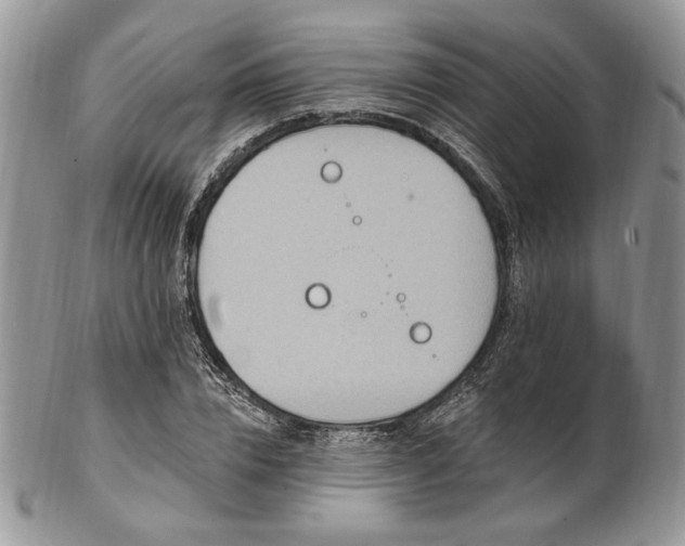 X0000102810832200808181221