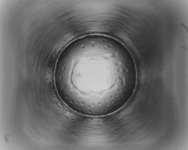 X0000102810833200808181221