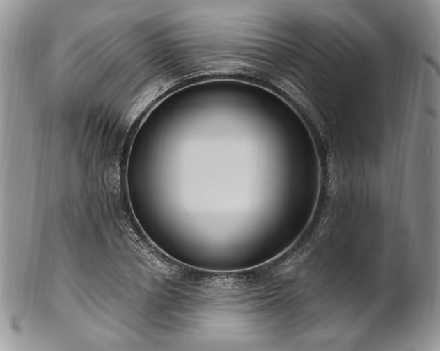 X0000102810834200808181221