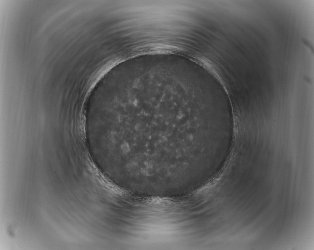 X0000102810835200808181221