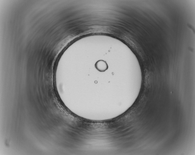 X0000102810836200808181221