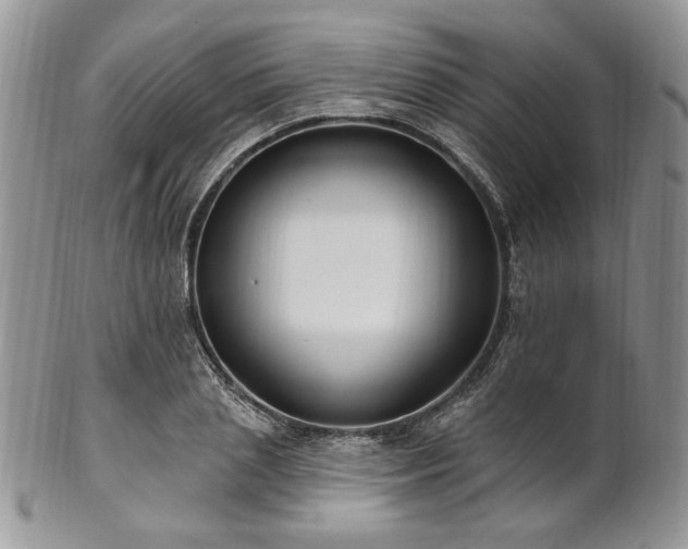 X0000102810837200808181221