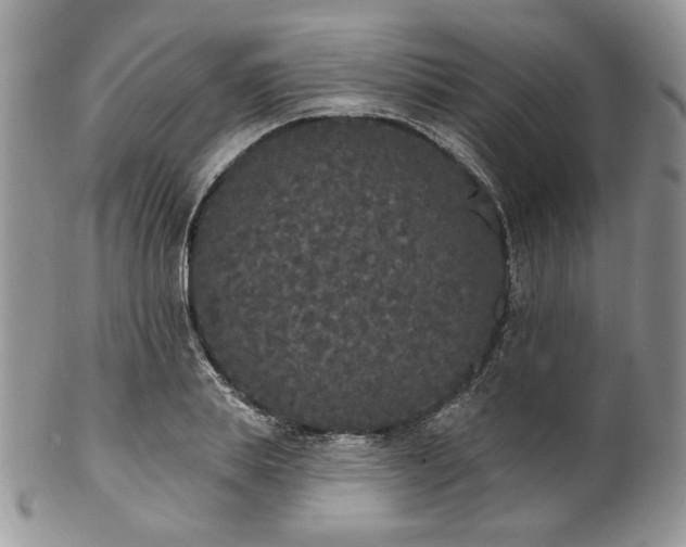 X0000102810839200808181221