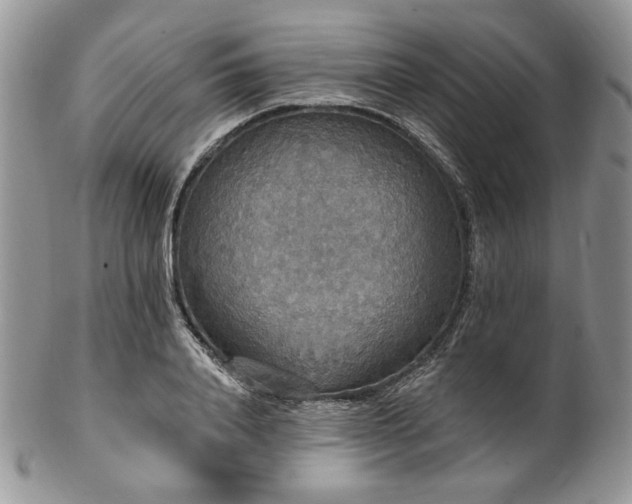 X0000102810840200808181221