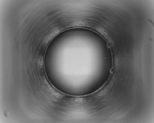 X0000102810841200808181221