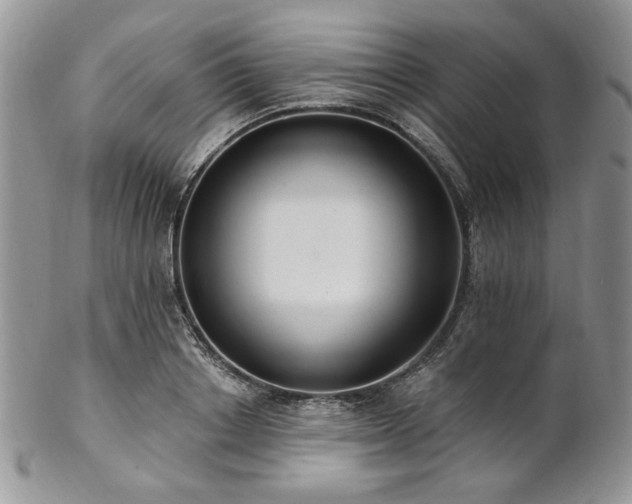 X0000102810842200808181221