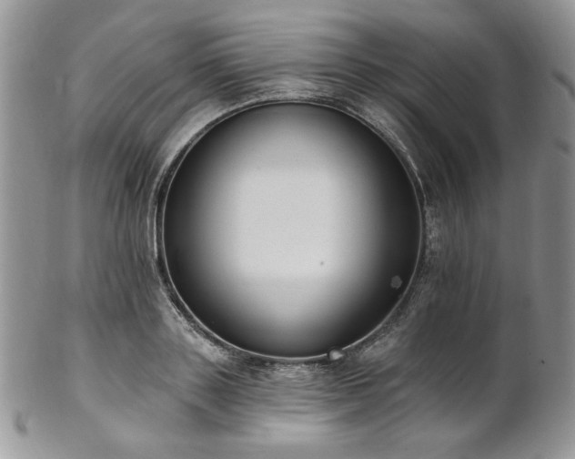 X0000102810843200808181221