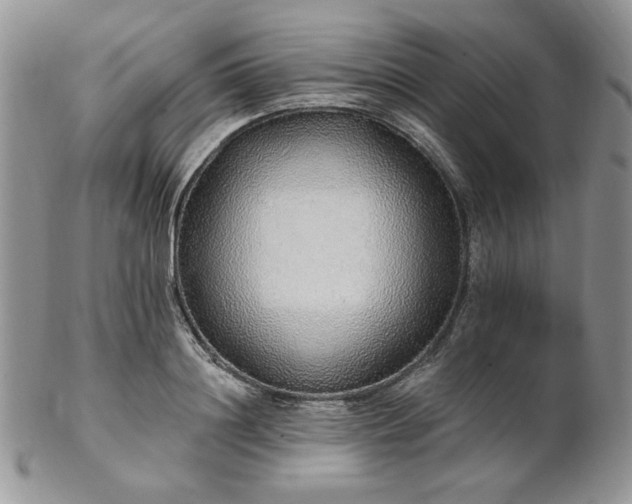 X0000102810844200808181222