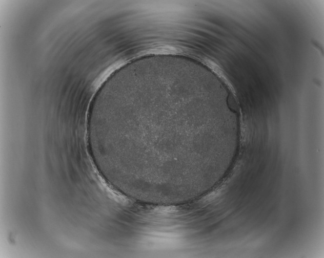 X0000102810845200808181222