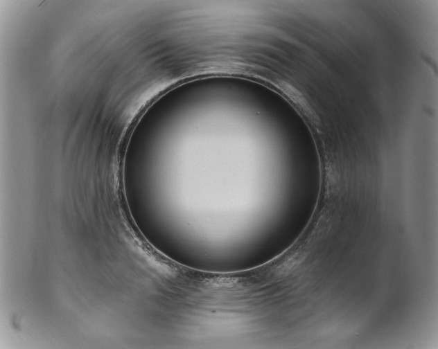 X0000102810846200808181222