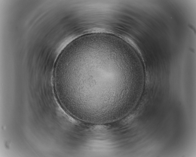 X0000102810847200808181222