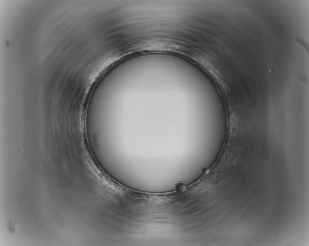 X0000102810848200808181222