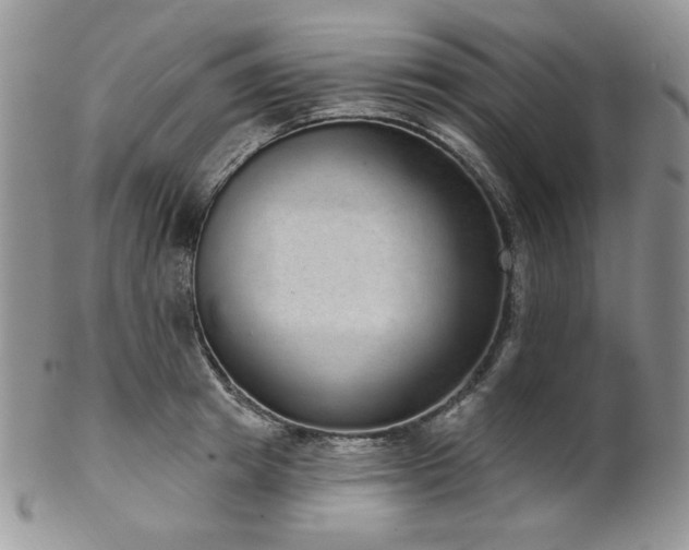 X0000102810849200808181222