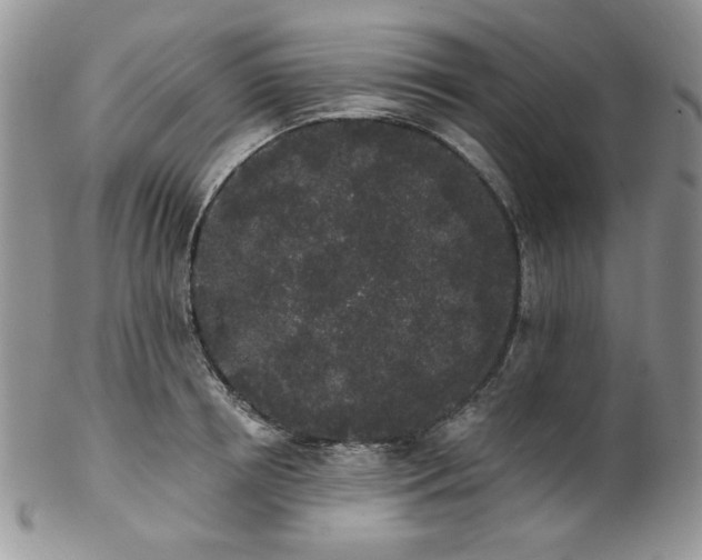 X0000102810850200808181222