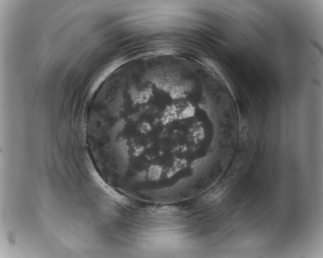 X0000102810851200808181222