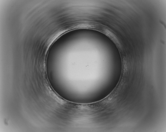 X0000102810852200808181222