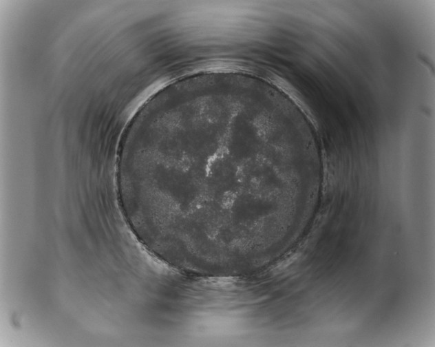 X0000102810853200808181222