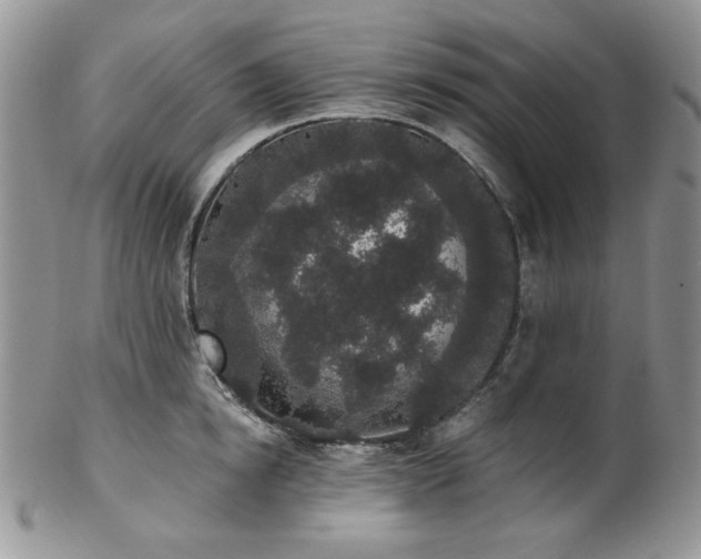 X0000102810854200808181222