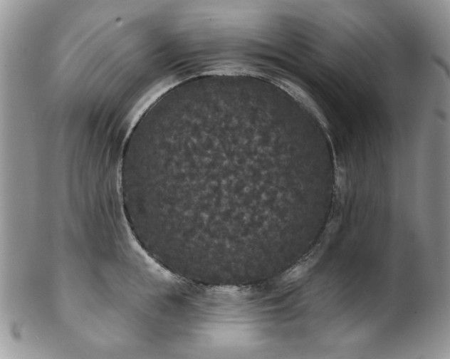 X0000102810855200808181222