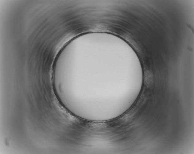 X0000102810856200808181222