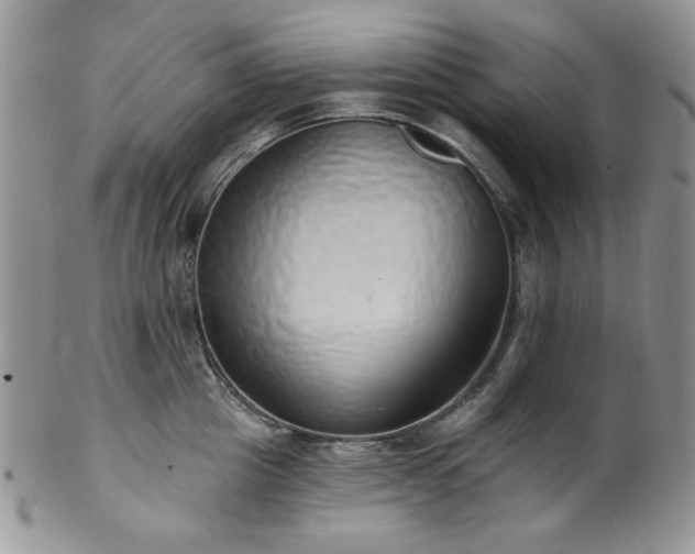 X0000102810857200808181222