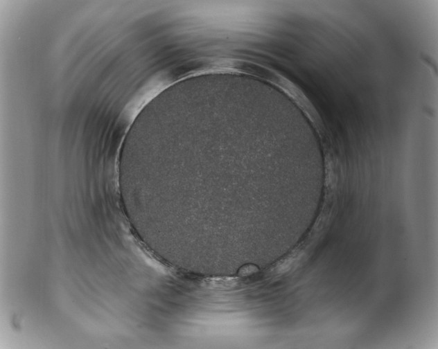 X0000102810858200808181222