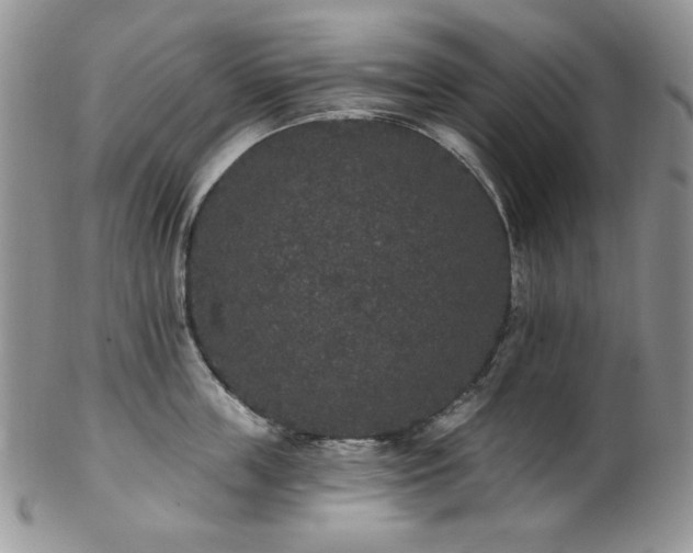 X0000102810859200808181222