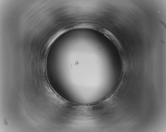 X0000102810860200808181222