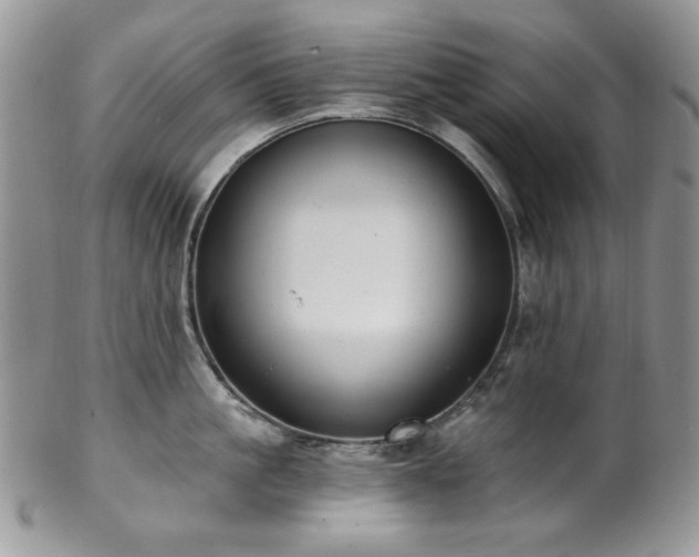 X0000102810861200808181222