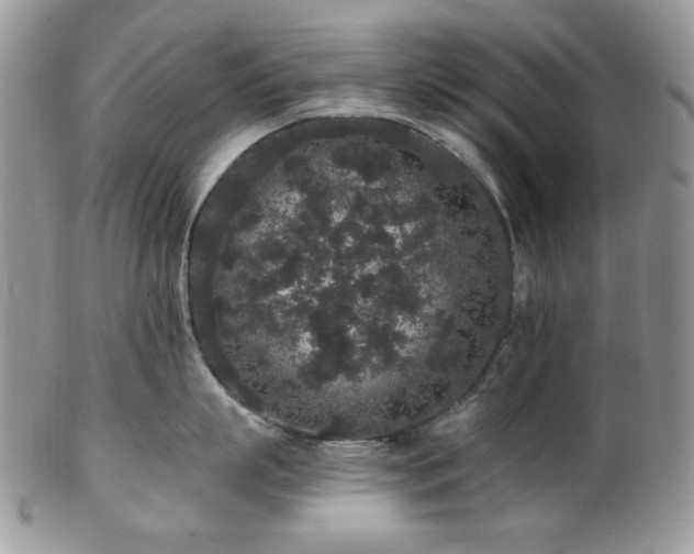 X0000102810863200808181222