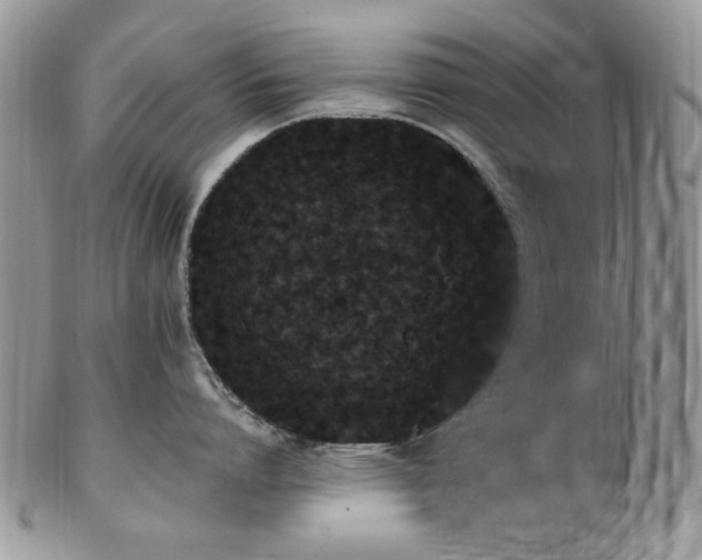 X0000102810864200808181222