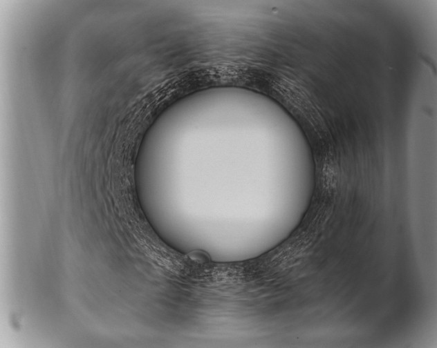 X0000102810865200808181221