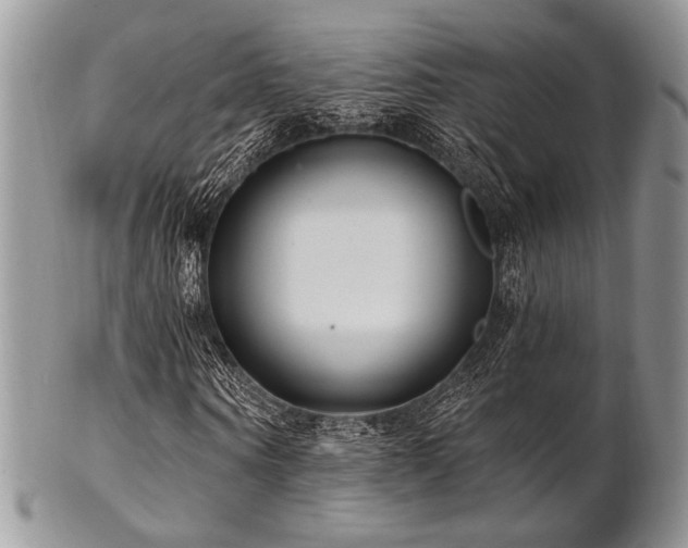 X0000102810866200808181221