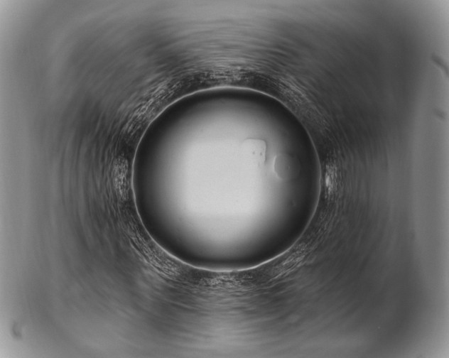 X0000102810867200808181221