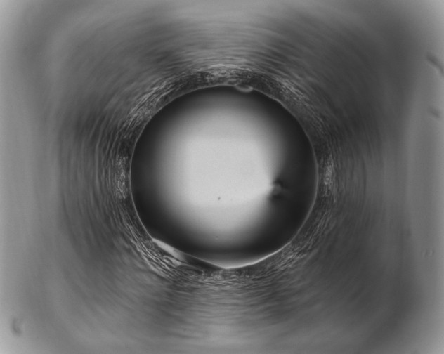 X0000102810868200808181221