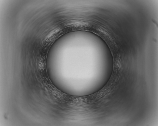 X0000102810869200808181221