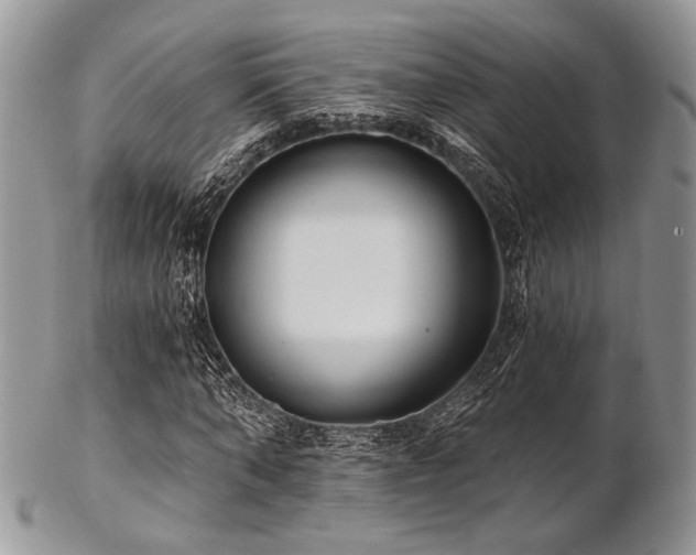 X0000102810870200808181221