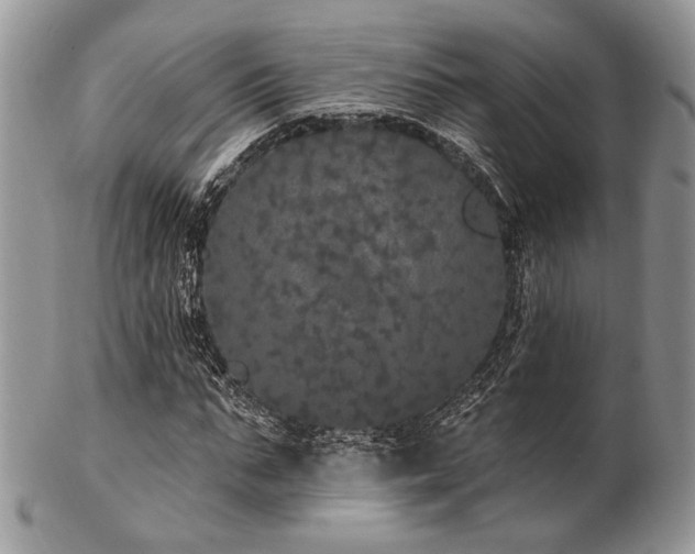 X0000102810871200808181221