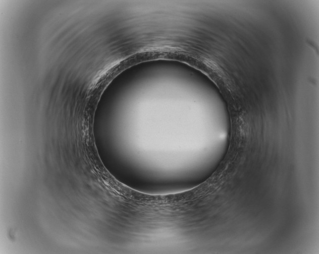 X0000102810872200808181221