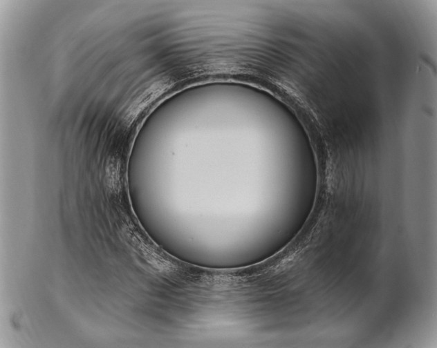 X0000102810873200808181221