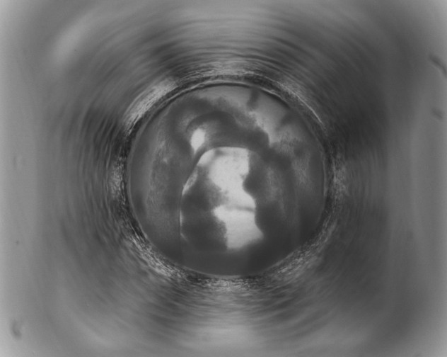 X0000102810874200808181221