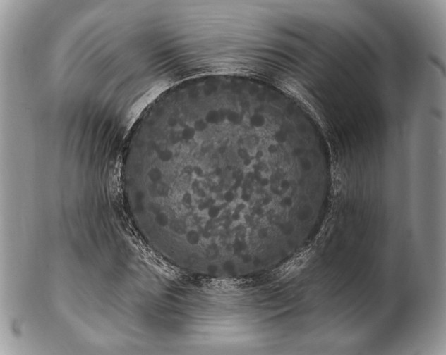 X0000102810875200808181221