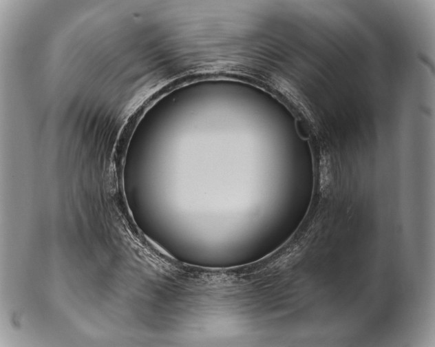 X0000102810876200808181221