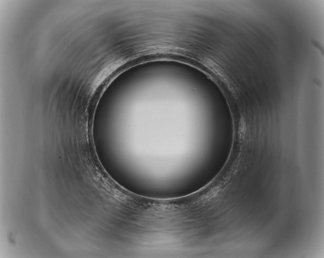 X0000102810877200808181221