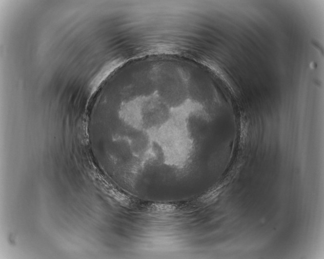 X0000102810878200808181221